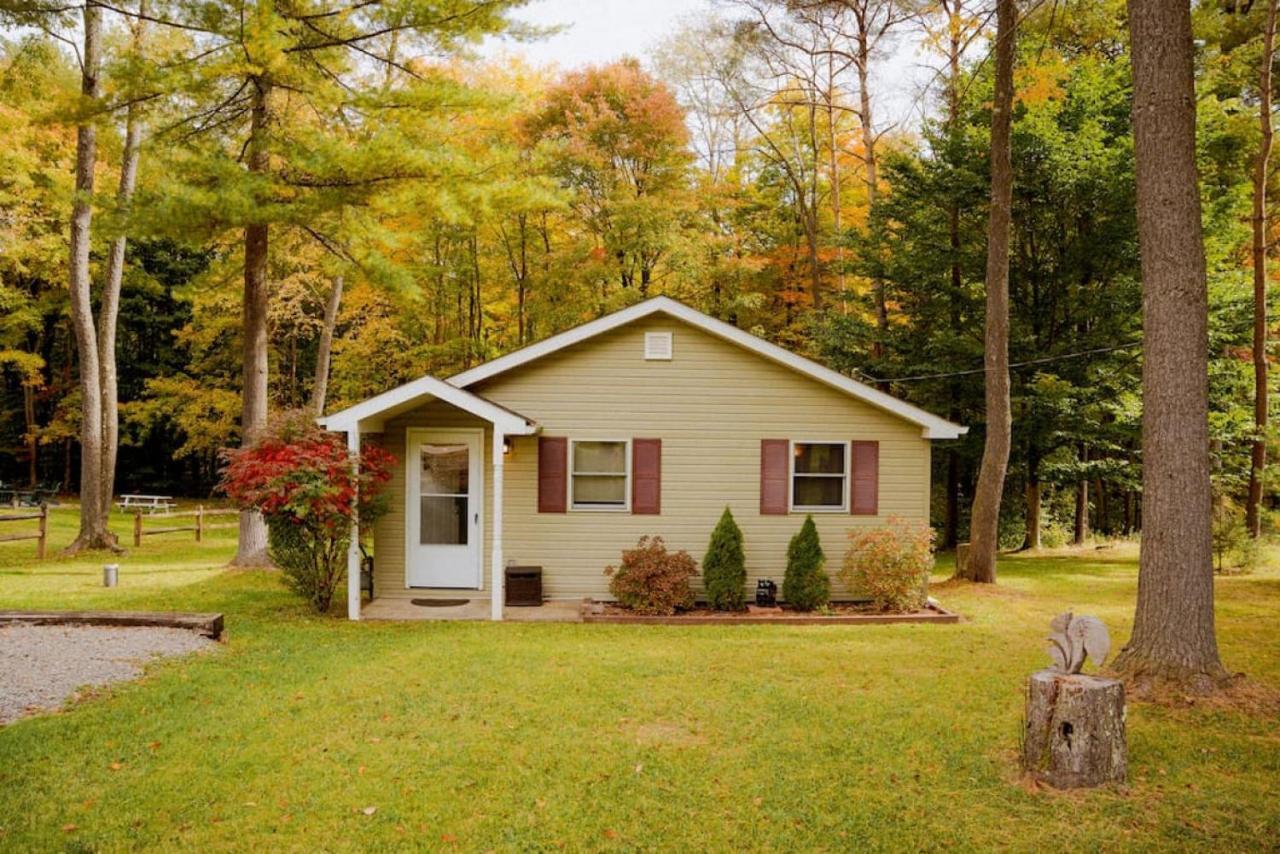 Cozy Cottage Near Cook Forest Park, Anf Marienville 외부 사진